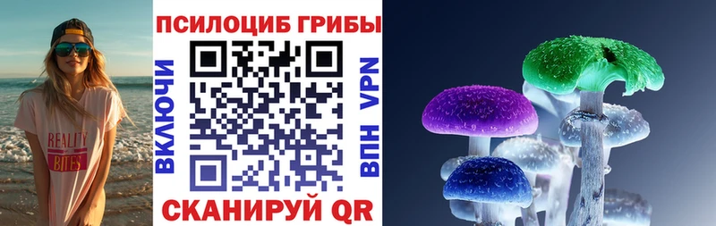 наркотики  kraken зеркало  Псилоцибиновые грибы Psilocybe  Котовск 
